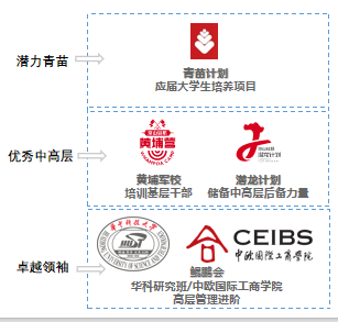 二洪力青;优秀中高层